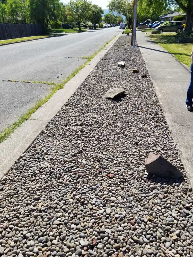 Professional yard cleanup service in Medford, OR by C H Landscaping