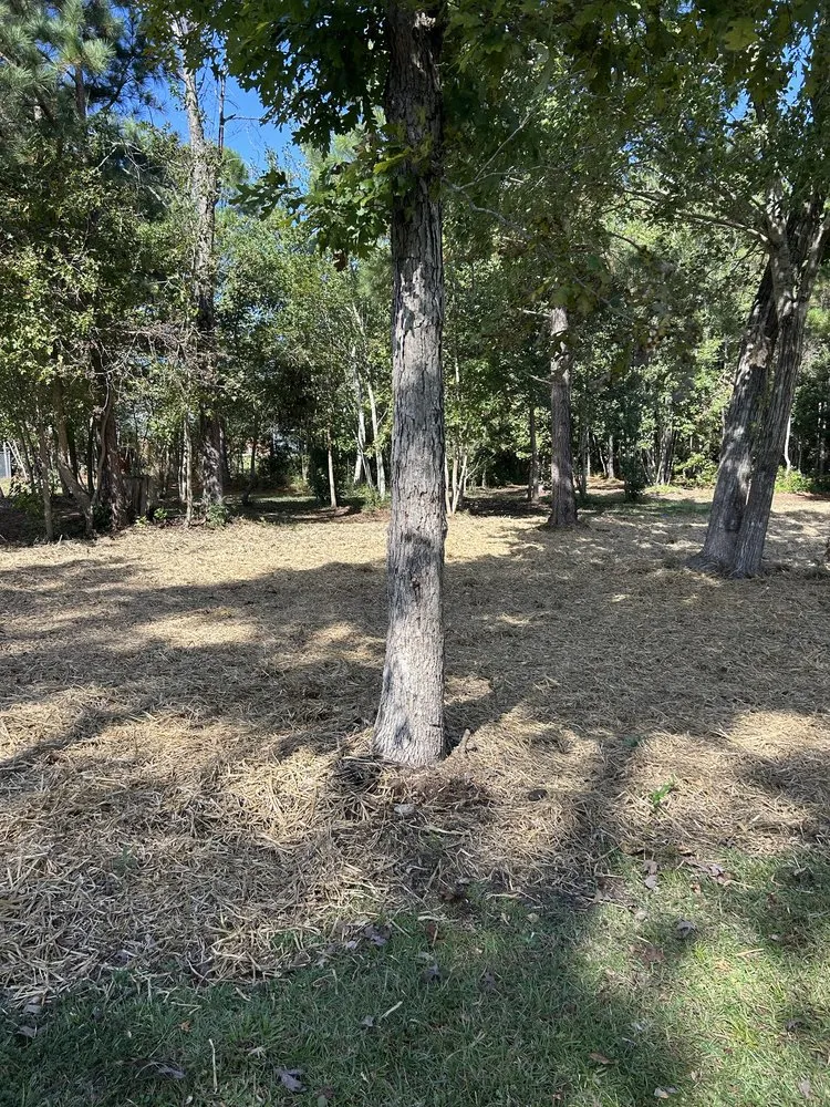 Custom yard maintenance for outdoor upgrades across Swansboro, NC - C H Lawn Care