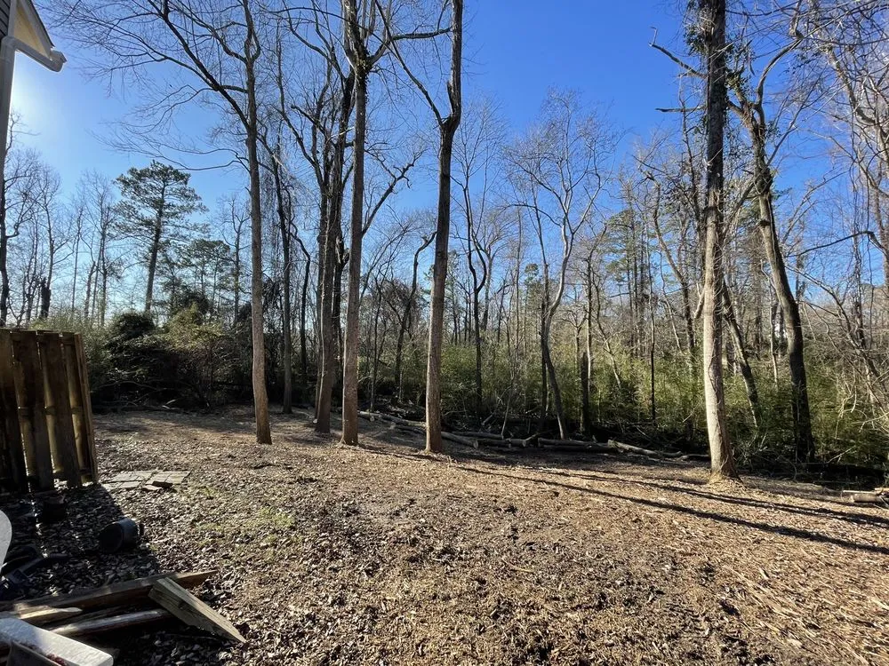 Affordable yard cleanup service experts serving Swansboro, NC - C H Lawn Care