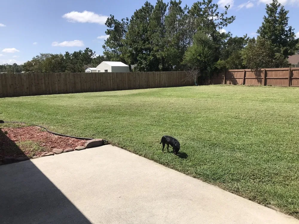 Affordable landscape design for residential properties across Swansboro, NC - C H Lawn Care