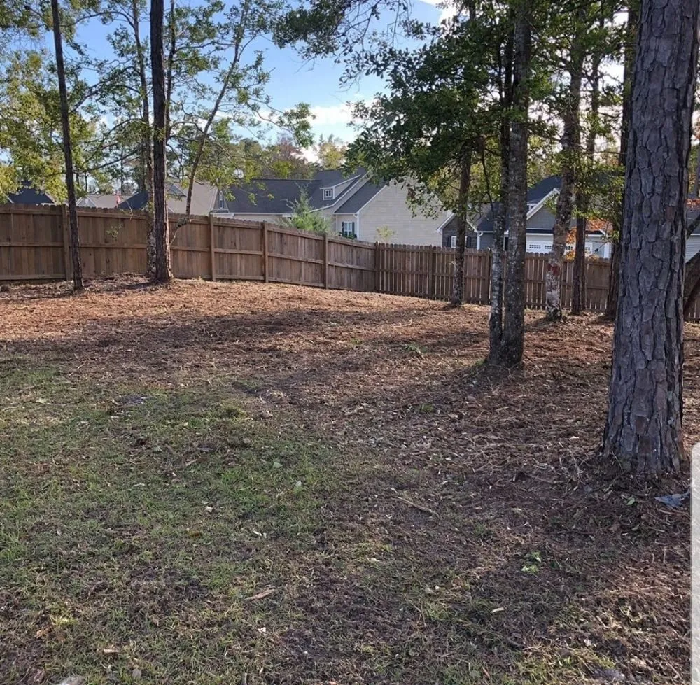 Expert landscaping services in Swansboro, NC - C H Lawn Care