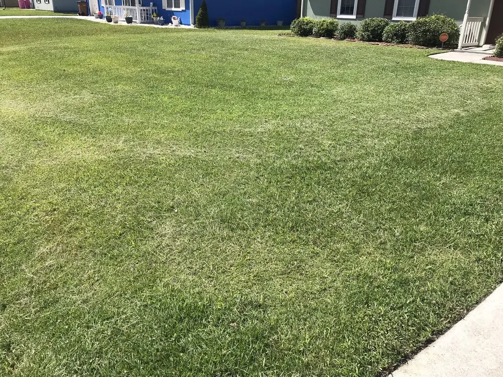 Reliable yard cleanup service in Swansboro, NC by C H Lawn Care