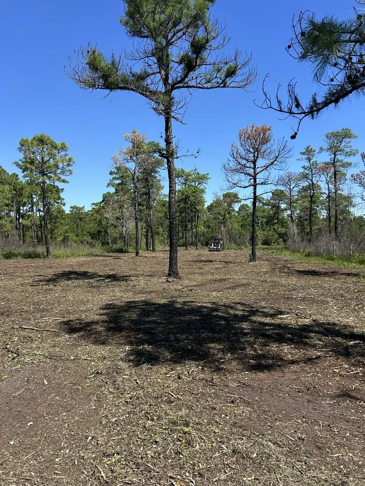 Professional garden landscaping experts serving Swansboro, NC - C H Lawn Care