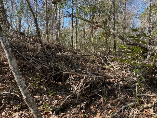 Custom landscaping services for beautiful yards across Swansboro, NC - C H Lawn Care