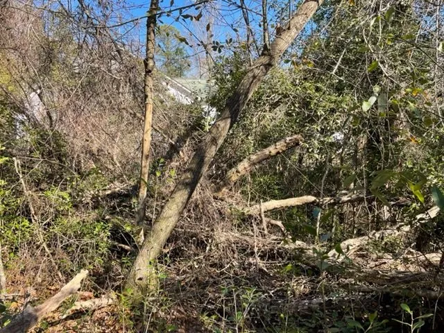 Top-rated lawn care service for homes in Swansboro, NC by C H Lawn Care