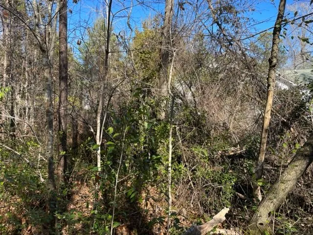 Custom outdoor landscaping for year-round maintenance across Swansboro, NC - C H Lawn Care