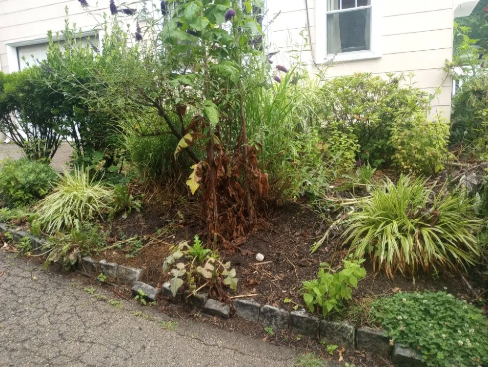 Expert outdoor landscaping experts serving West Chester, PA - C H P Maintenance