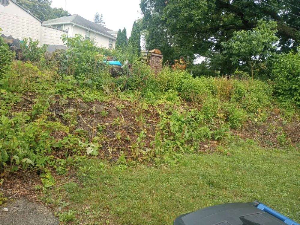 Expert landscape design experts serving West Chester, PA - C H P Maintenance