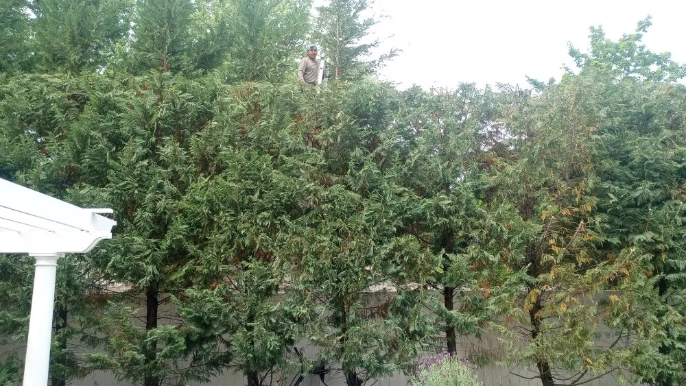 Professional garden landscaping for homes across West Chester, PA - C H P Maintenance