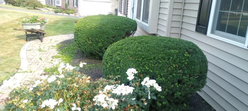 Professional residential landscaping near you across West Chester, PA - C H P Maintenance