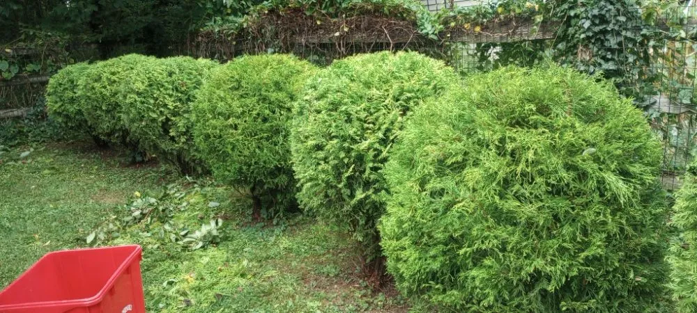 Reliable landscaping services experts serving West Chester, PA - C H P Maintenance