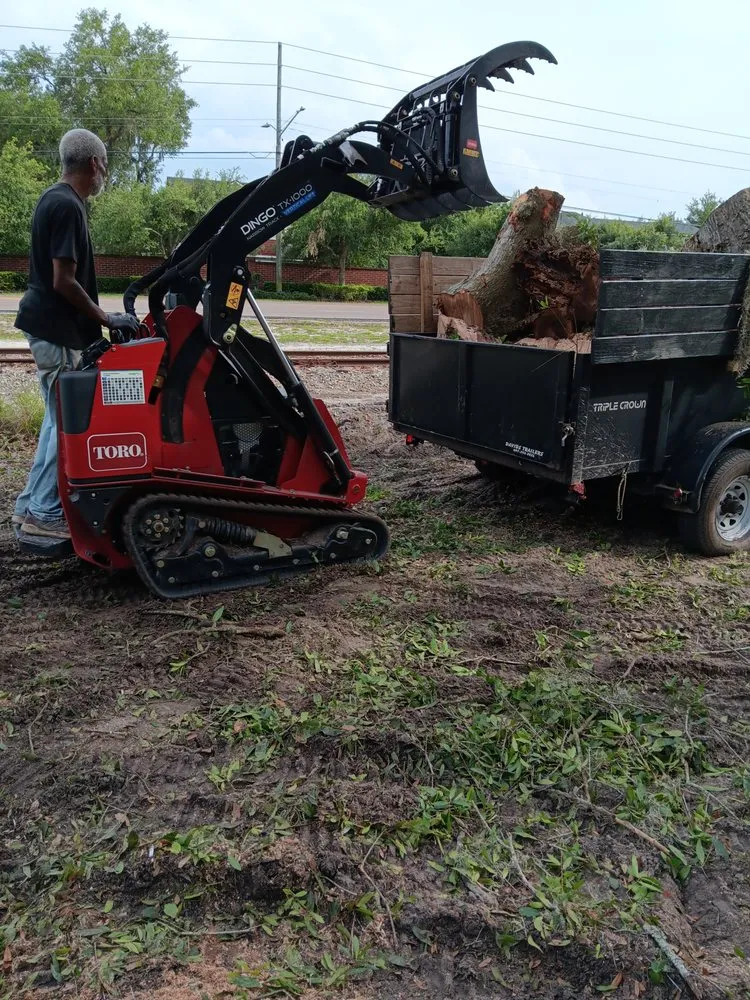 Trusted landscape installation in Orlando, FL by C Haynes Tree And Lawn Service