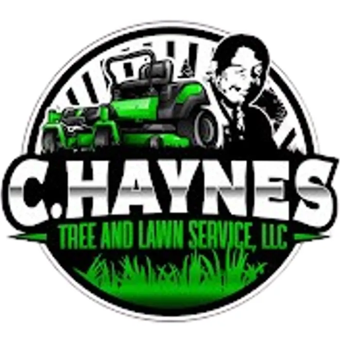 Expert lawn mowing service experts serving Orlando, FL - C Haynes Tree And Lawn Service