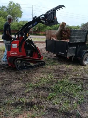 C Haynes Tree And Lawn Service Logo