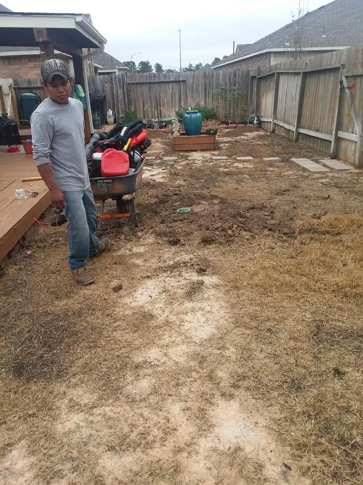 Reliable lawn care service in Houston, TX by C hernandez lawn