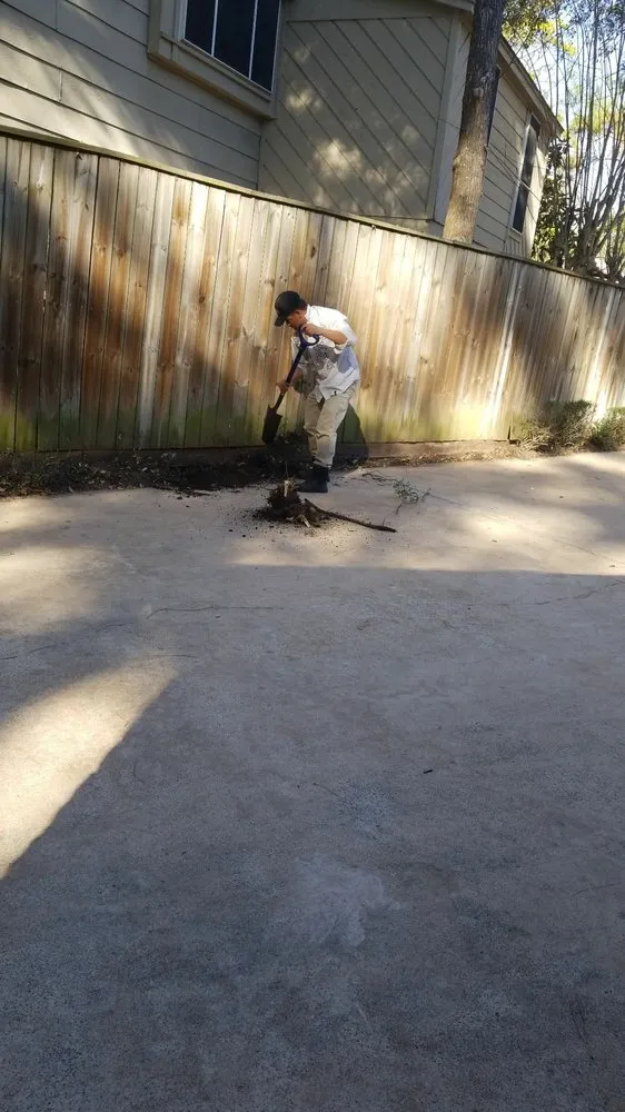 Affordable yard maintenance in Houston, TX - C hernandez lawn