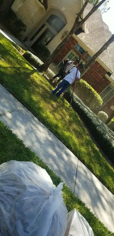 Reliable yard maintenance near you across Houston, TX - C hernandez lawn