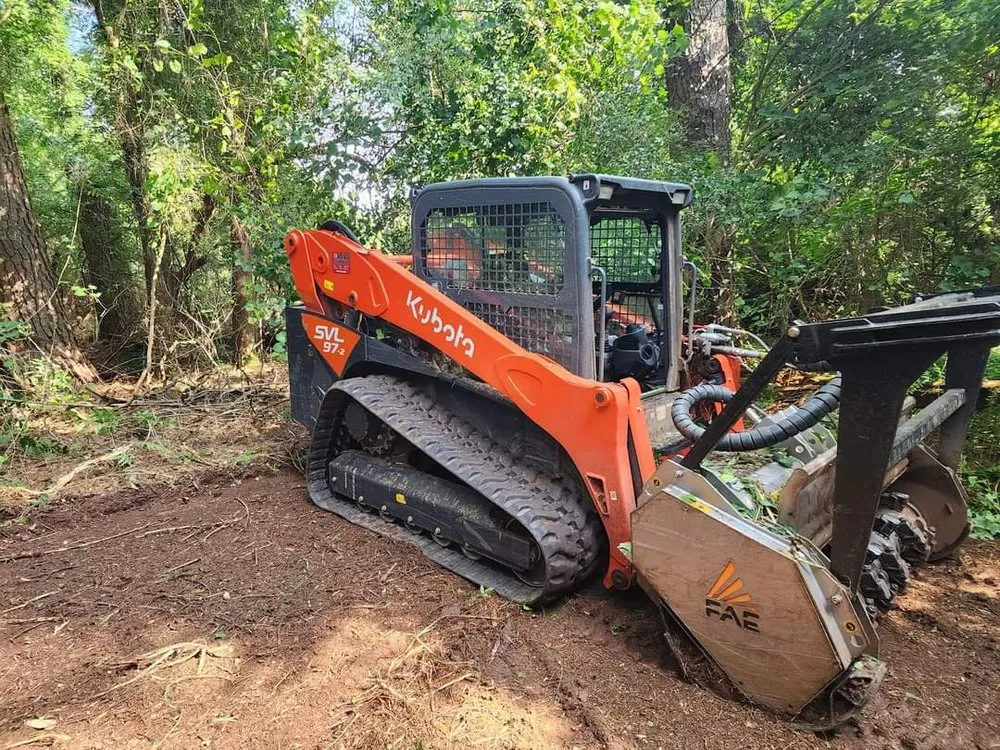 Professional yard cleanup service in Hogansville, GA by C Home And Land Services