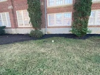 Professional lawn care service in Pelion, SC by C J Tractor Service
