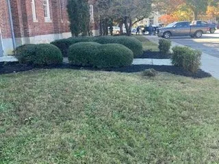 Affordable lawn mowing service in Pelion, SC by C J Tractor Service