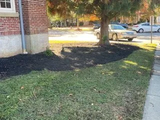 Trusted garden landscaping for residential properties in Pelion, SC by C J Tractor Service