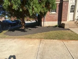 Local residential landscaping in Pelion, SC - C J Tractor Service