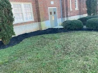 Local yard cleanup service with custom design across Pelion, SC - C J Tractor Service