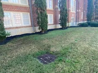 Top-rated landscaping services for beautiful yards in Pelion, SC by C J Tractor Service