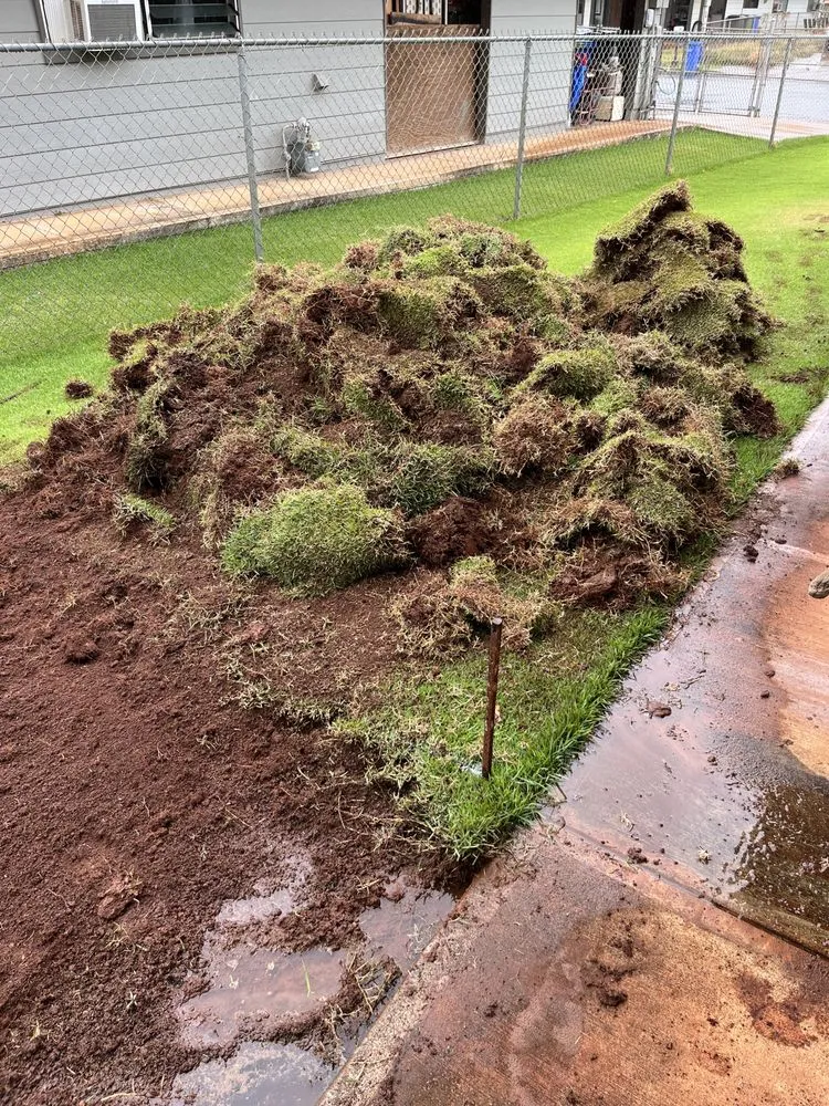 Professional lawn care service for residential properties across Waipahu, HI - C Kaiolohia Services