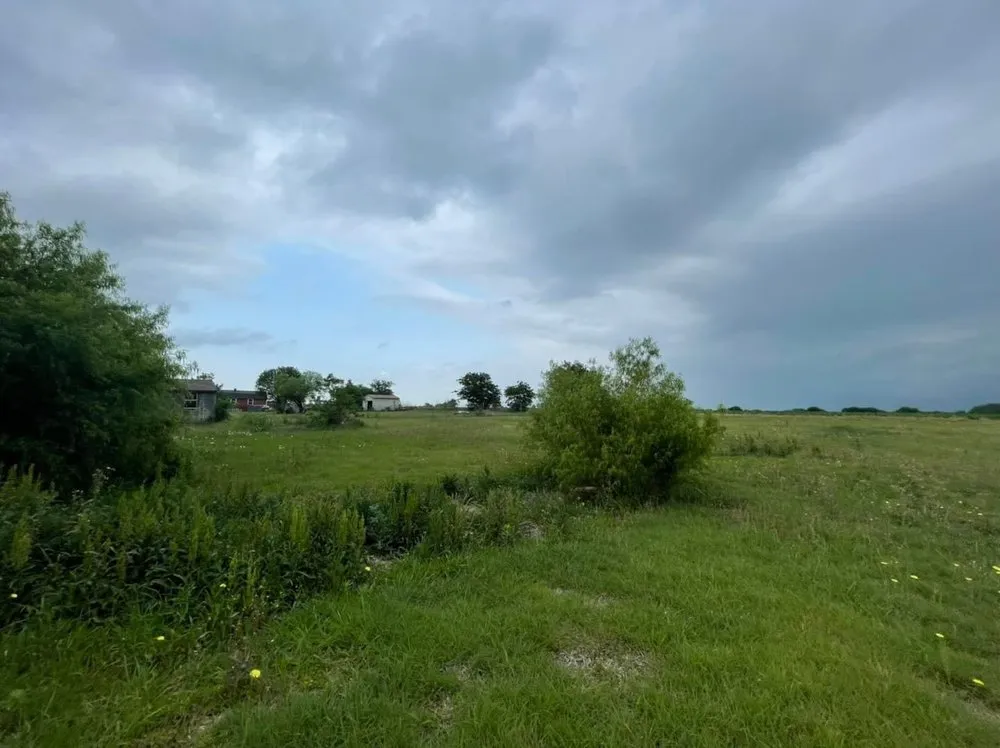 Trusted landscaping services in Aransas Pass, TX - C L Handyman & Lawn Care Services