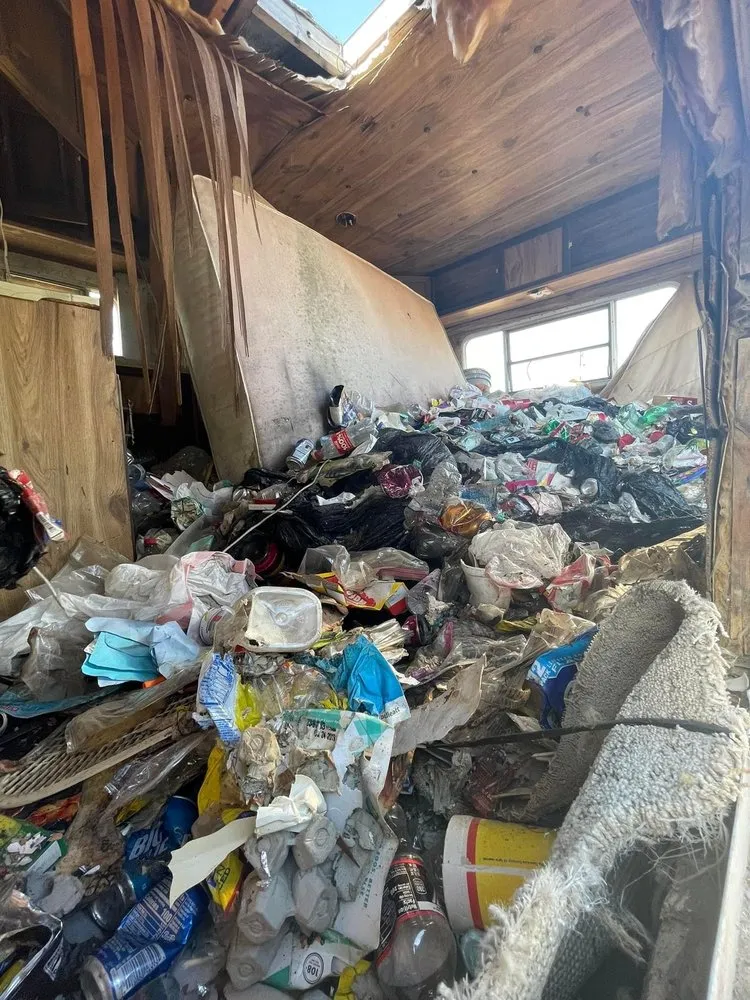 Professional yard cleanup service experts serving Aransas Pass, TX - C L Handyman & Lawn Care Services