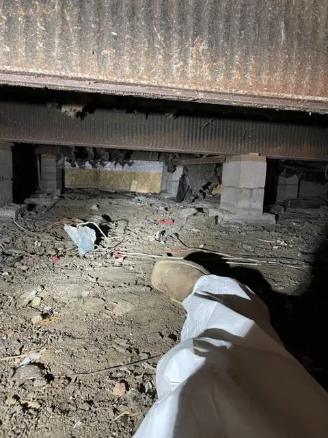 Local yard cleanup service experts serving Aransas Pass, TX - C L Handyman & Lawn Care Services