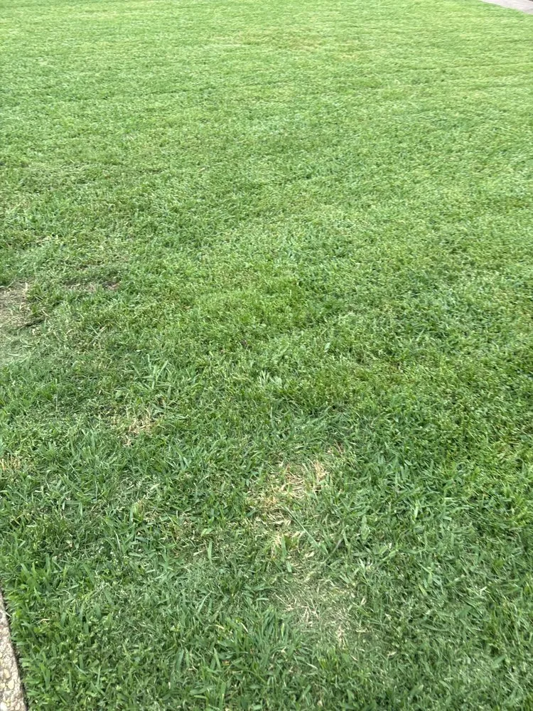 Reliable lawn mowing service for year-round maintenance across Bossier City, LA - C L lawn care