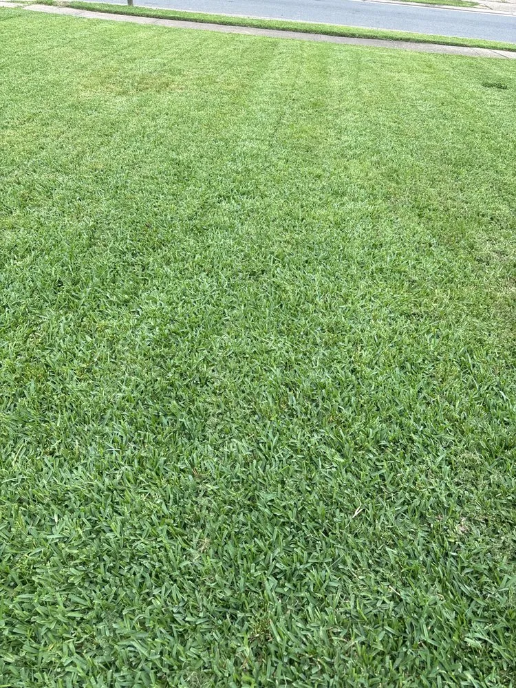 Custom lawn mowing service with custom design across Bossier City, LA - C L lawn care