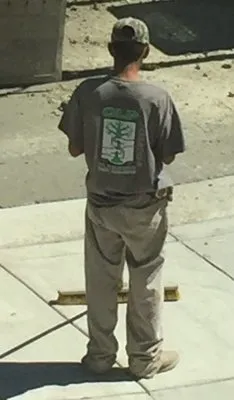 C L P Landscaping Logo