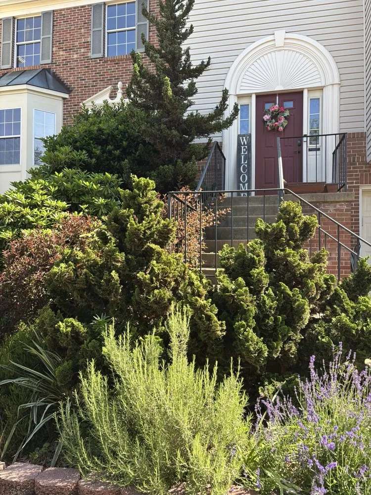 Top-rated lawn mowing service experts serving Fairfax, VA - C Landscape & Power Wash