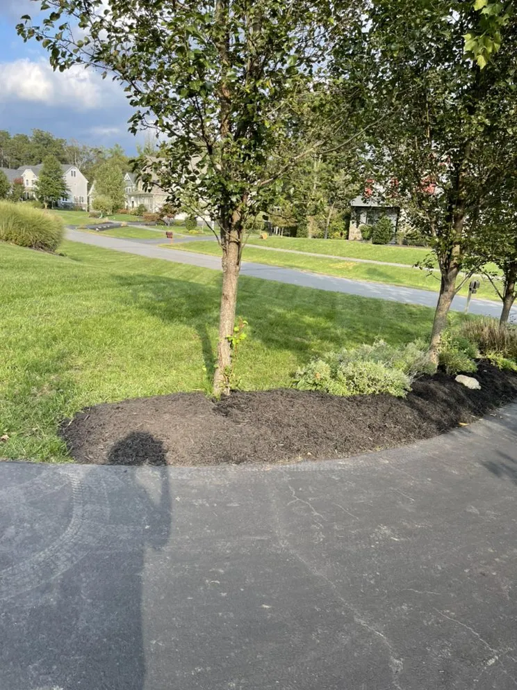 Custom landscape installation in Fairfax, VA - C Landscape & Power Wash