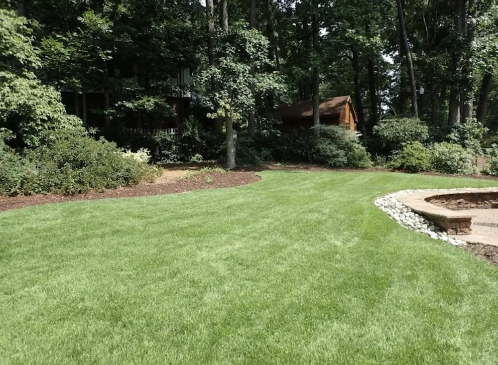 Local lawn care service for year-round maintenance in Fairfax, VA by C Landscape & Power Wash
