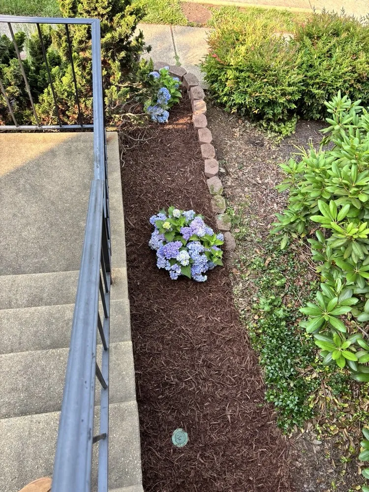 Expert lawn mowing service in Fairfax, VA - C Landscape & Power Wash