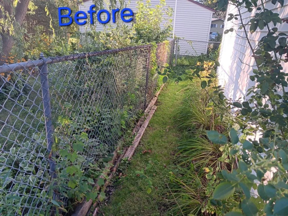 Custom yard maintenance in Inkster, MI by C Lawncare