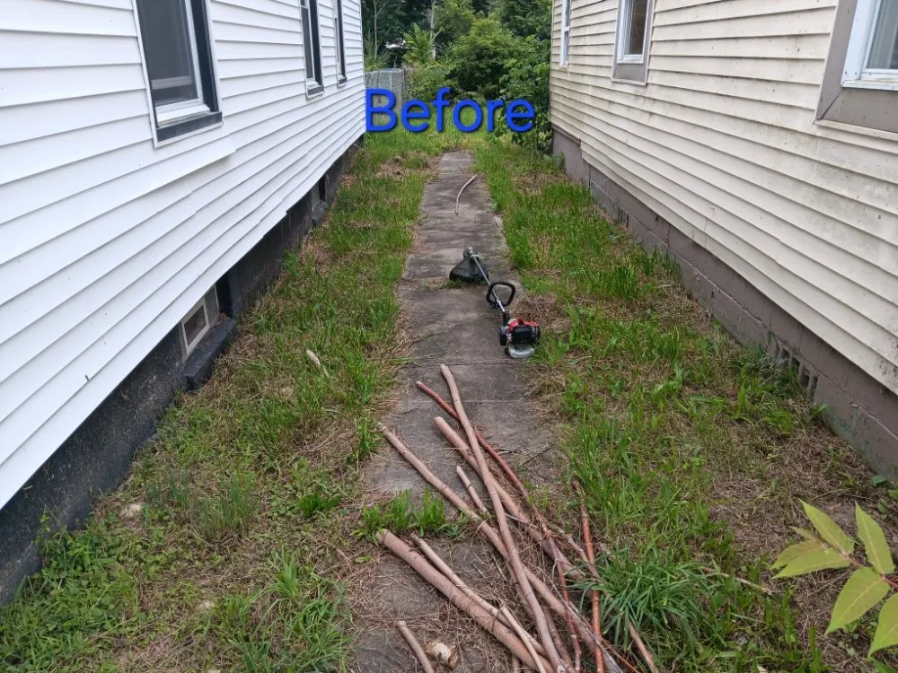 Reliable landscape design in Inkster, MI - C Lawncare