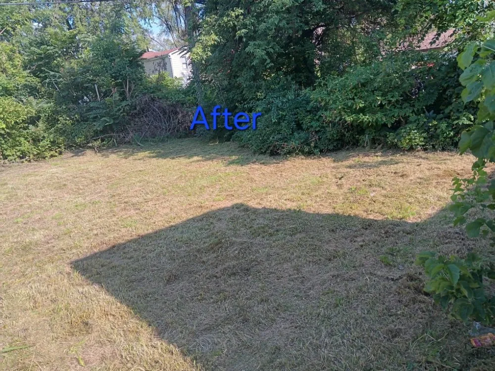 Trusted landscaping services for outdoor upgrades across Inkster, MI - C Lawncare