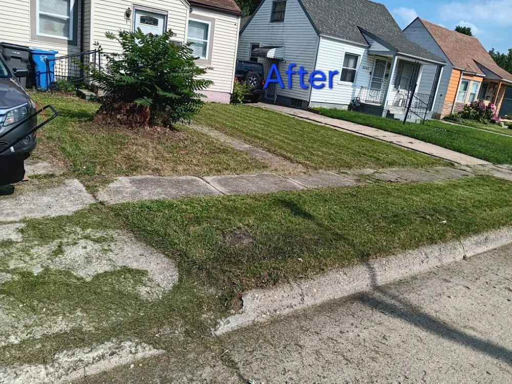 Affordable residential landscaping for outdoor upgrades in Inkster, MI by C Lawncare