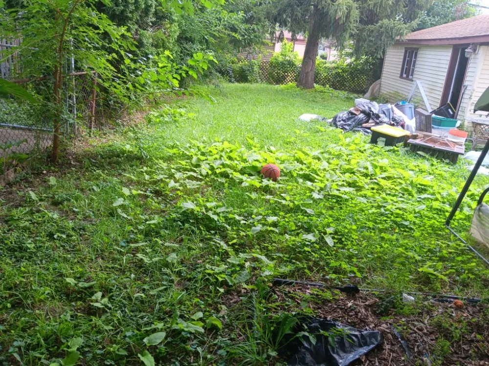 Affordable lawn mowing service for year-round maintenance in Inkster, MI by C Lawncare