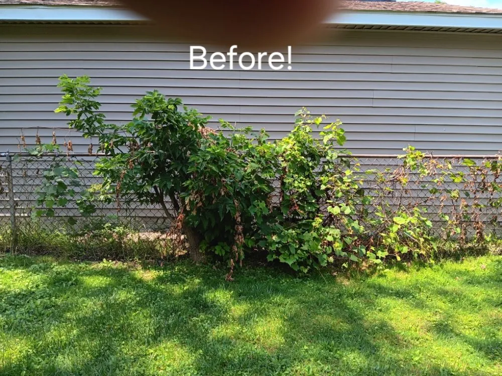 Expert landscape installation in Inkster, MI - C Lawncare