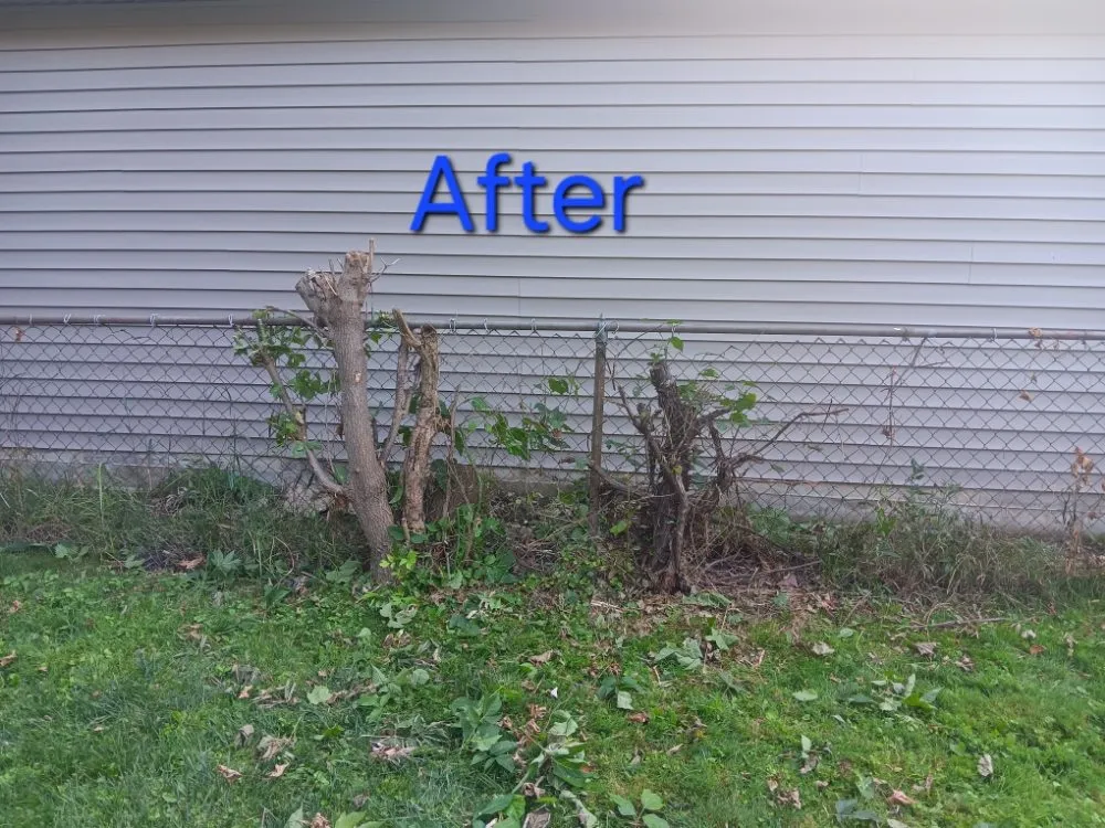 Reliable lawn mowing service in Inkster, MI - C Lawncare