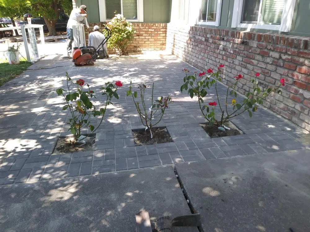 Expert outdoor landscaping near you across Santa Rosa, CA - C Lopez Yard Maintenance