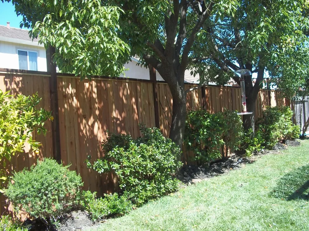 Affordable outdoor landscaping for outdoor upgrades across Santa Rosa, CA - C Lopez Yard Maintenance