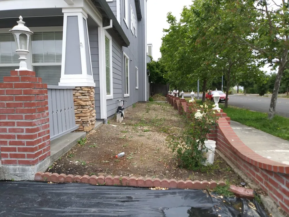 Local landscaping services for year-round maintenance across Santa Rosa, CA - C Lopez Yard Maintenance