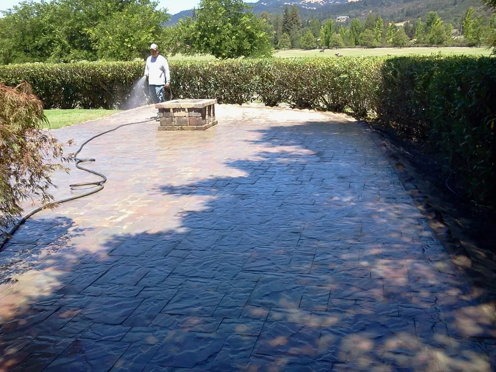 Top-rated yard cleanup service near you in Santa Rosa, CA by C Lopez Yard Maintenance